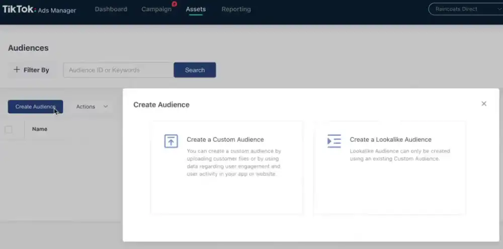 Custom Audiences in TikTok Ads Manager
