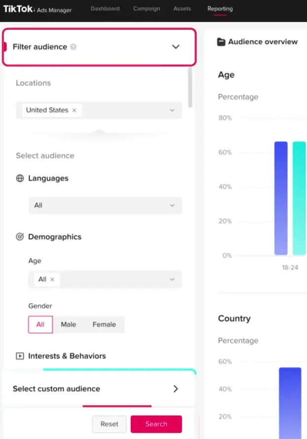 TikTok Demographics