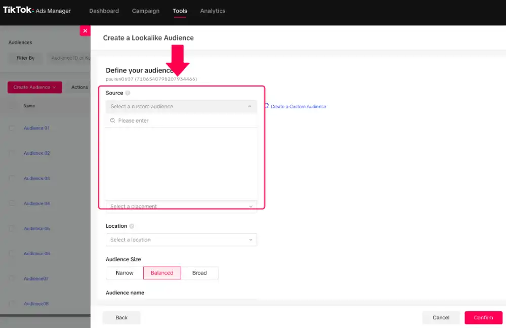 TikTok Lookalike Audiences Source