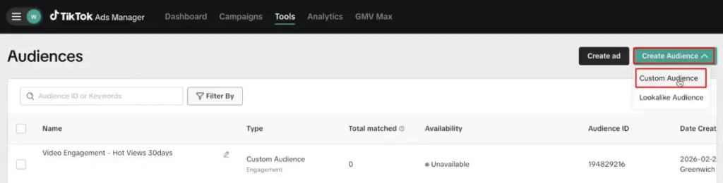 Create Audience and select Custom Audience
