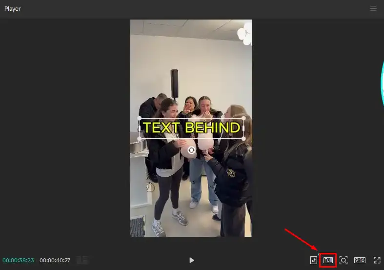 Preview in full-screen