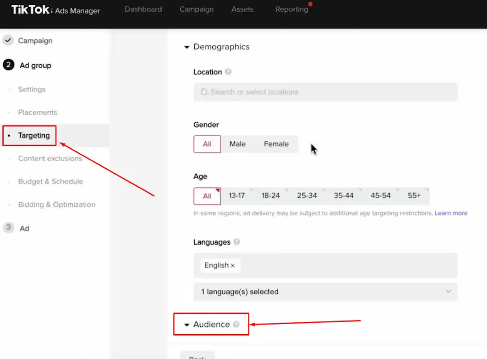 Your Audience on TikTok