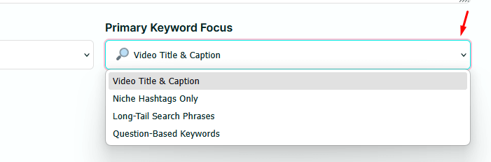 Select your primary keyword focus